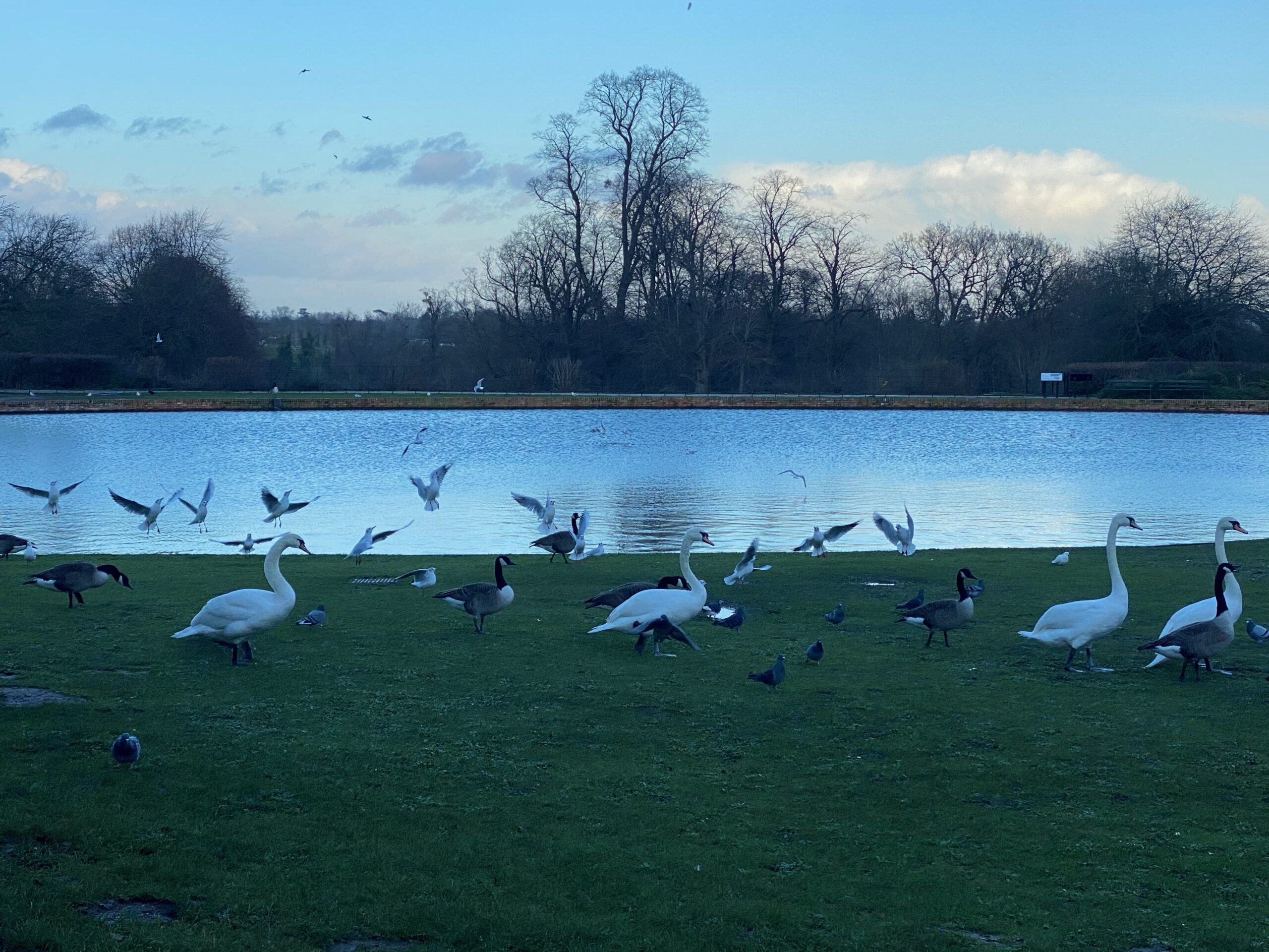 Additional Class before New Year