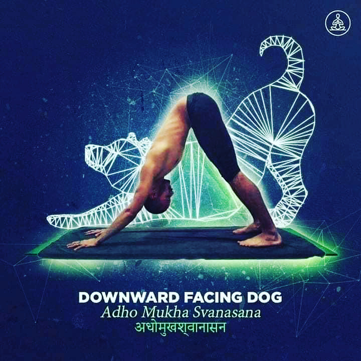 downward facing dog