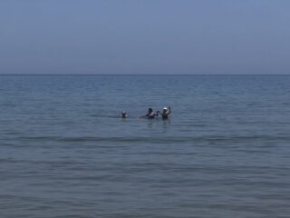 IMG_8079